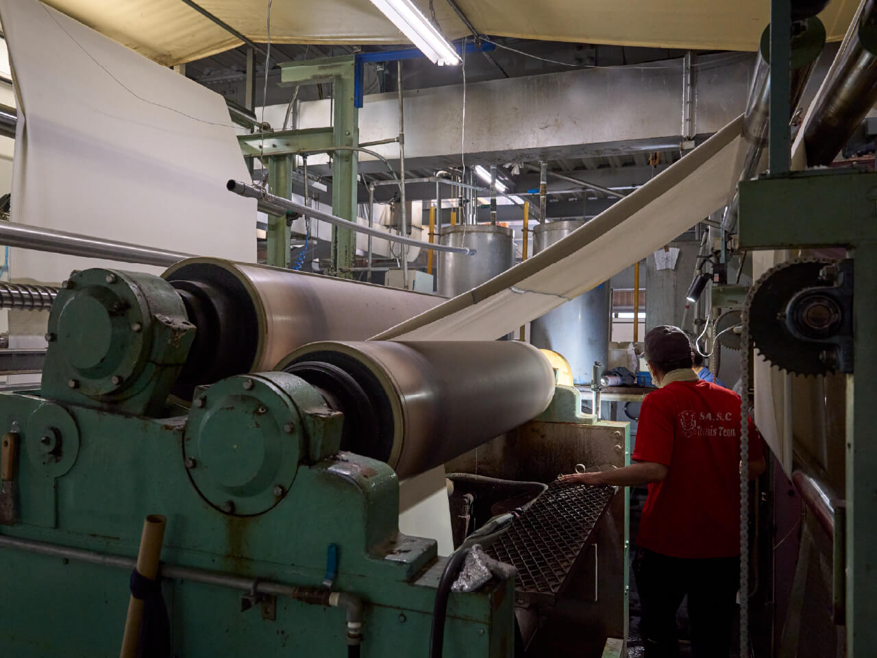 染色過程　画像