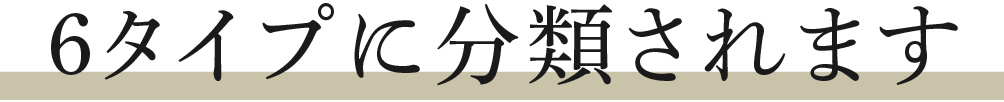  6タイプに分類されます