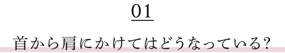 首から肩にかけてはどうなっている?