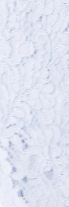 背景画像