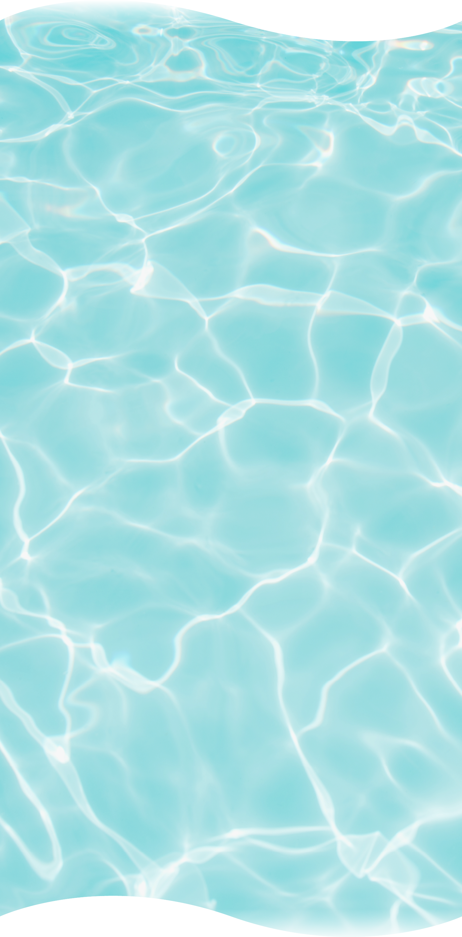 セクション08の背景画像