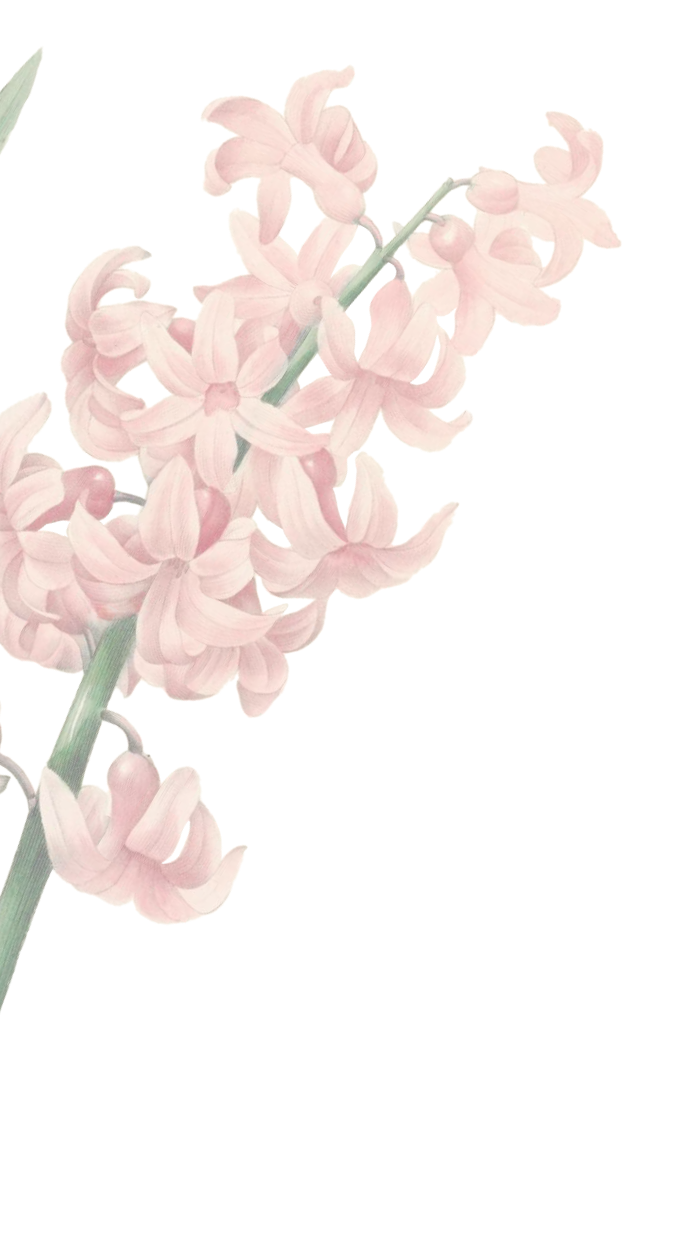 セクション02 お花イメージ