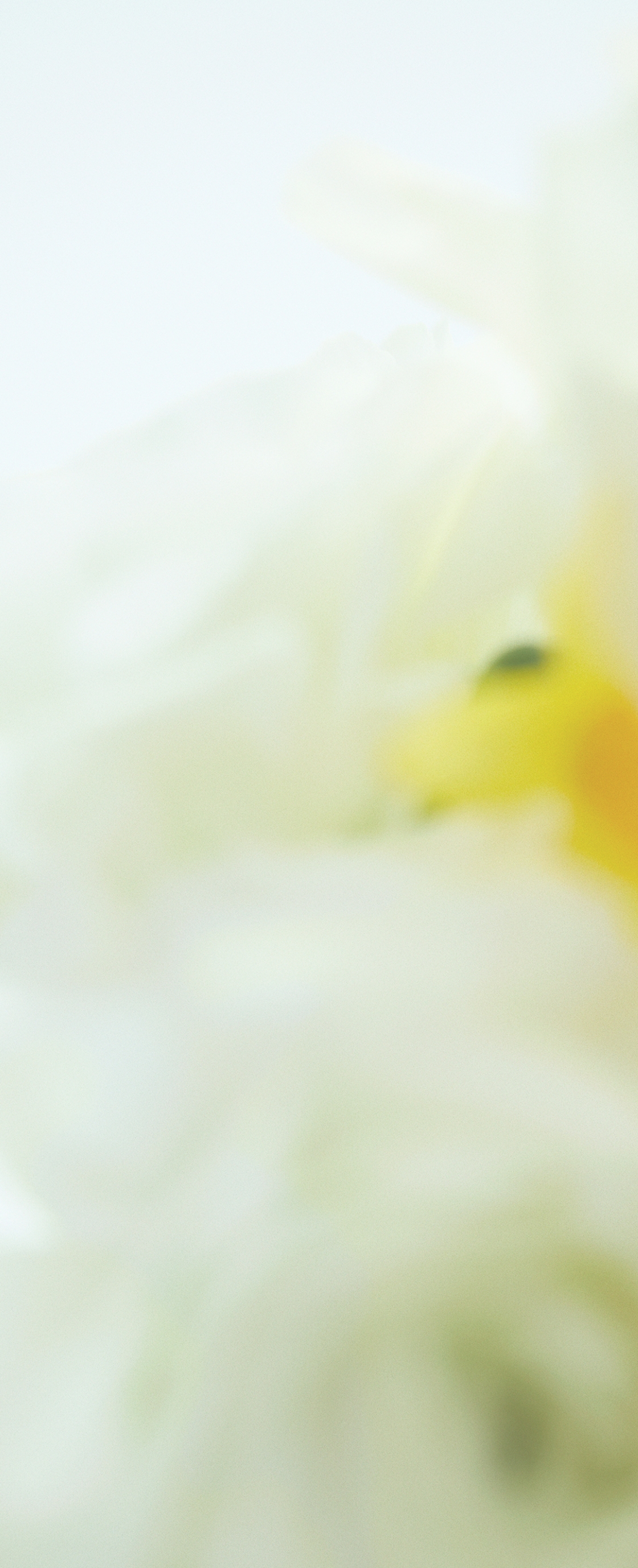 セクション03 背景イメージ