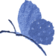 pc画面右側のdeco蝶々01
