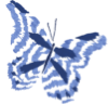 pc画面右側のdeco蝶々03