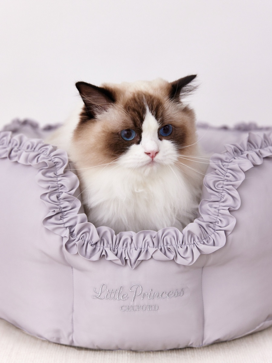 Frill-Trimmed Pet Bed を使った DOG & CAT の着用イメージ（別カット）