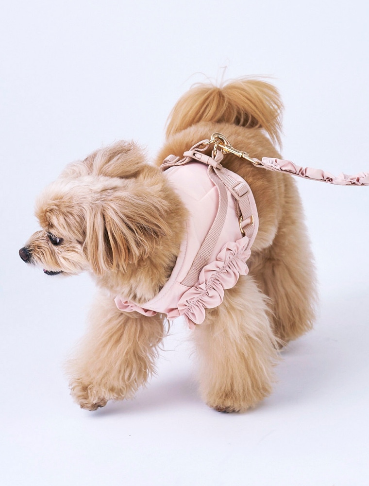 Frill-Trimmed Harness & Lead を使った DOG & CAT の着用イメージ（別カット）