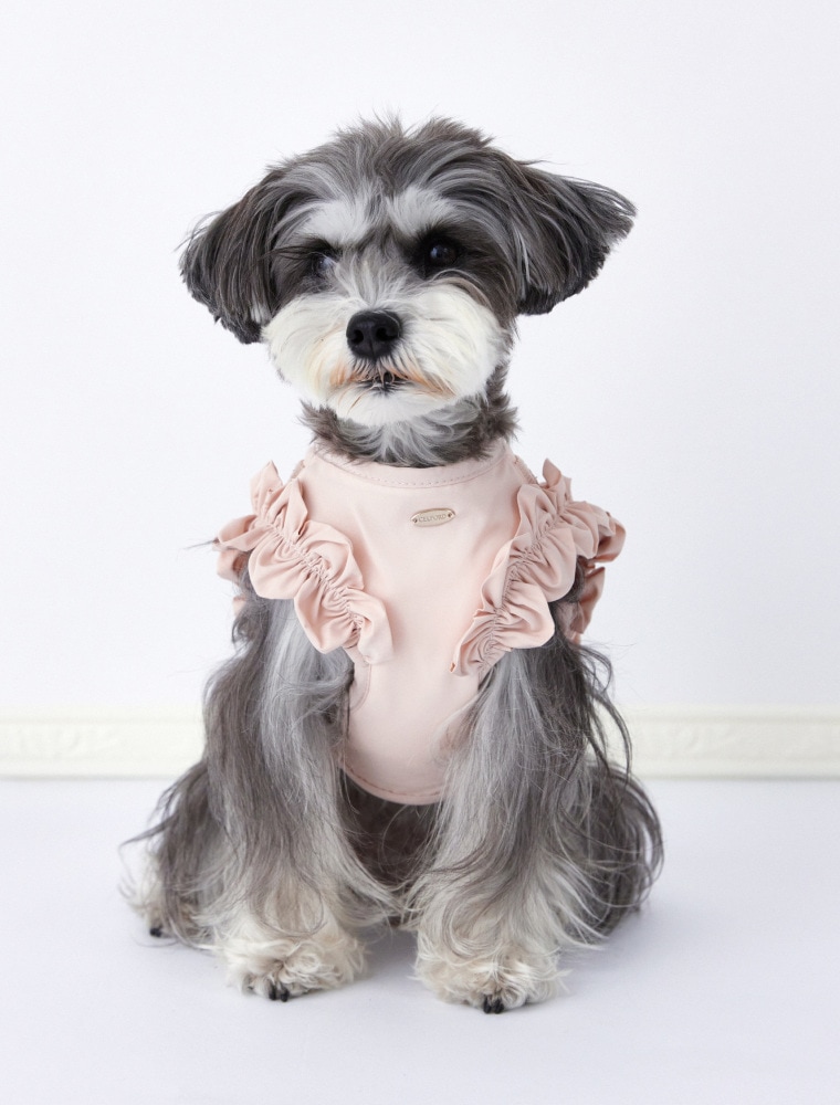 Frill-Trimmed Harness & Lead を使った DOG & CAT の着用イメージ