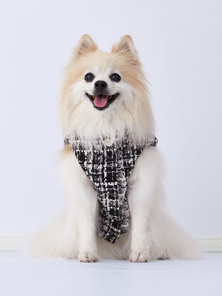 Fancy Tweed Gilet を使った DOG & CAT の着用イメージ（別カット）