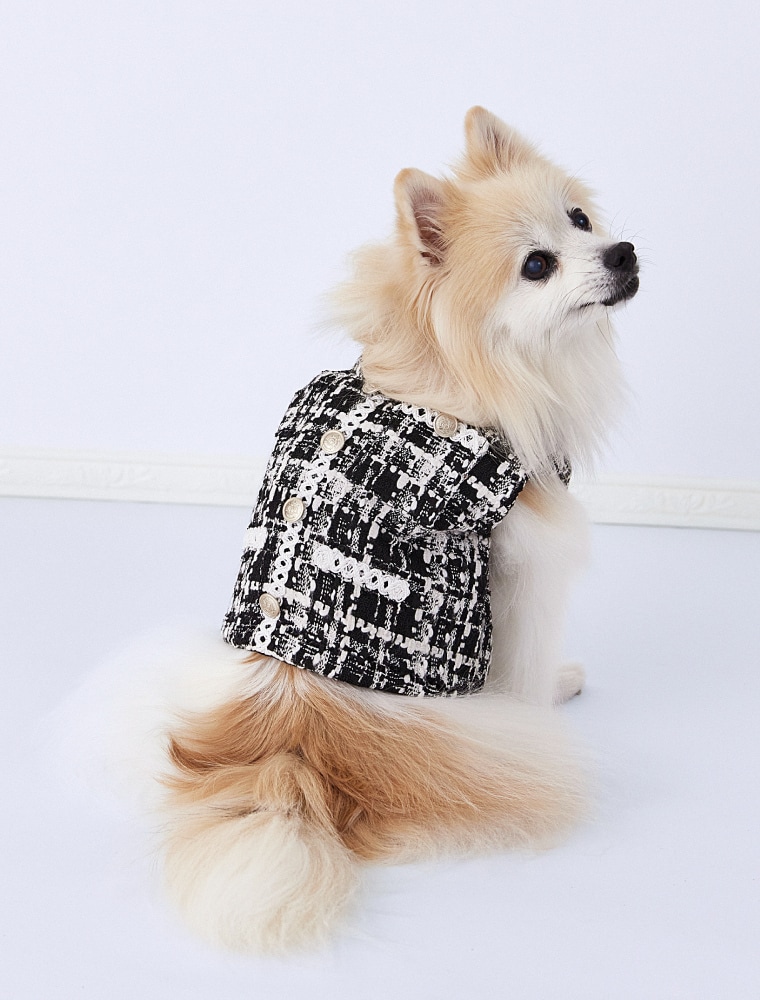 Fancy Tweed Gilet を使った DOG & CAT の着用イメージ