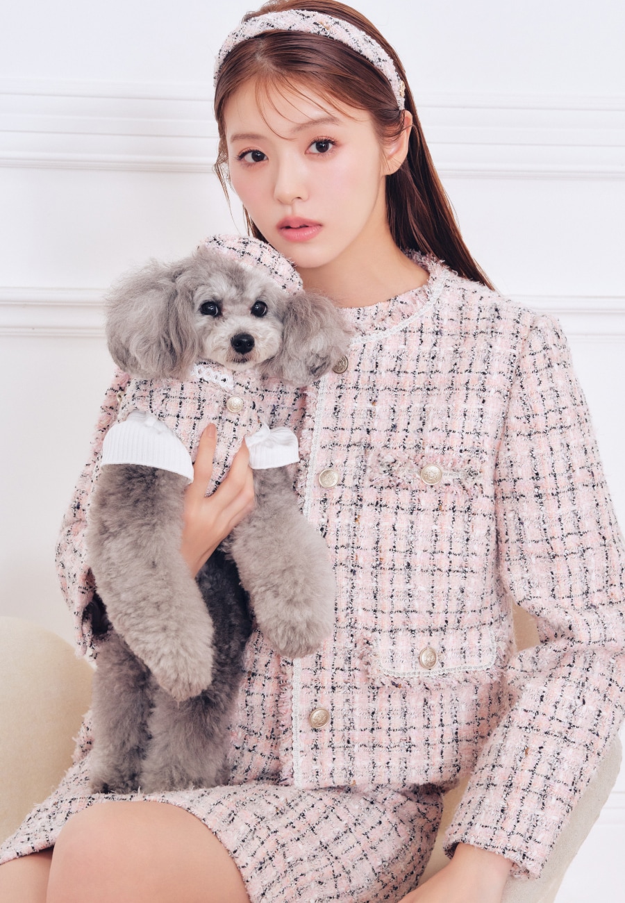 Fancy Tweed Gilet を使った DOG & CAT の着用イメージ