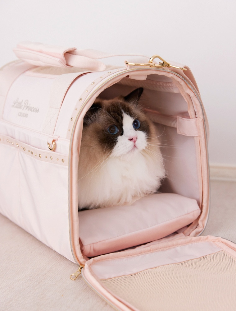 Bijou Stud Pet Carrier を使った DOG & CAT の着用イメージ（別カット）