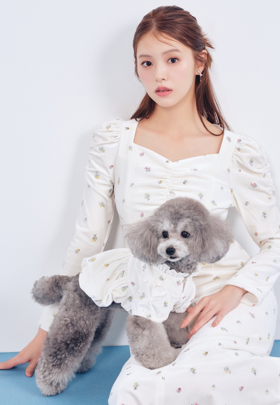 Floral Embroidered Velour Dress を使った DOG & CAT の着用イメージ（別カット）
