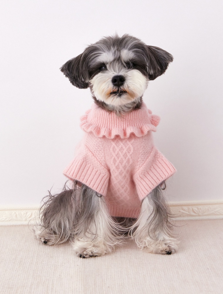 Dog Motif Cable Knit を使った DOG & CAT の着用イメージ