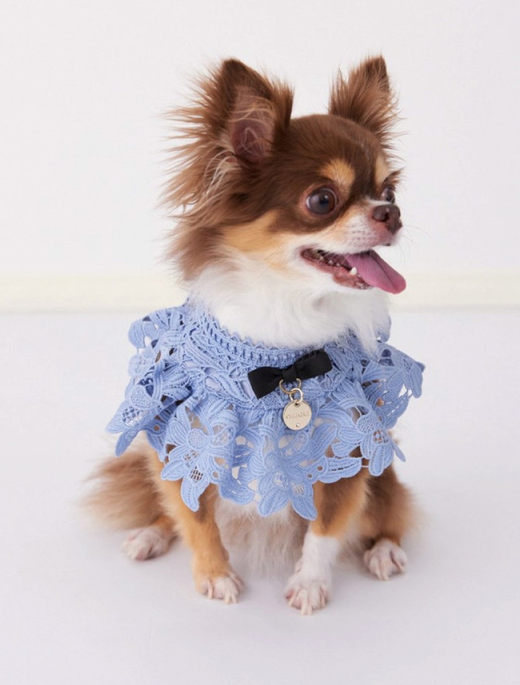 Lace Bib を使った DOG & CAT の着用イメージ（別カット）