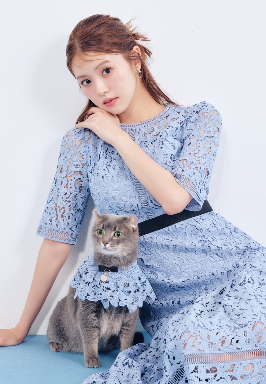Lace Dress を使った DOG & CAT の着用イメージ