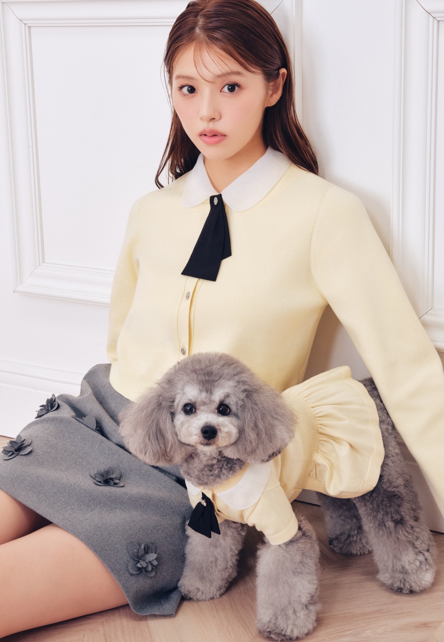 Detachable Collar Dress を使った DOG & CAT の着用イメージ