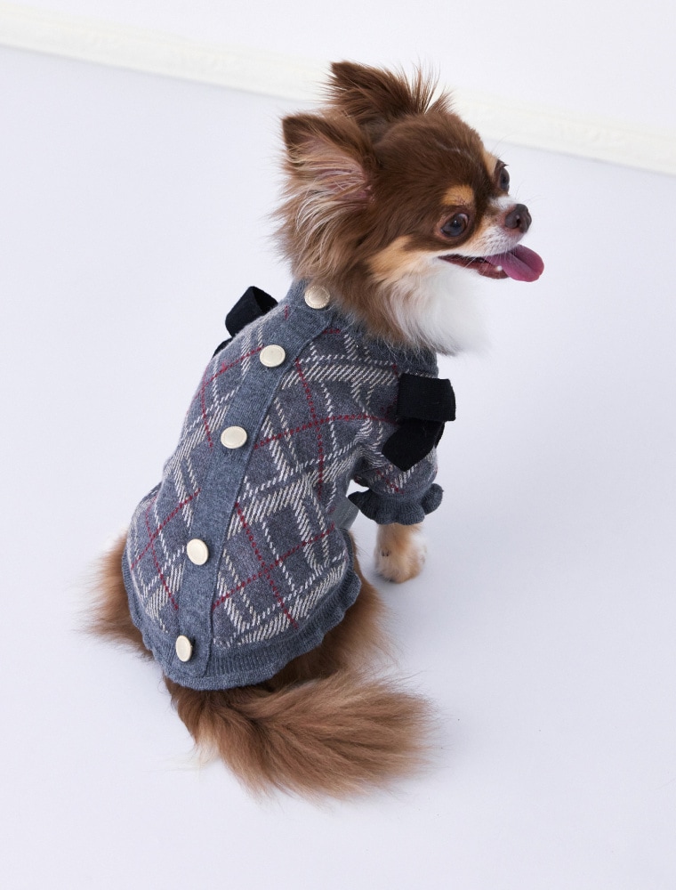 Checked Jacquard Knit Top を使った DOG & CAT の着用イメージ（別カット）