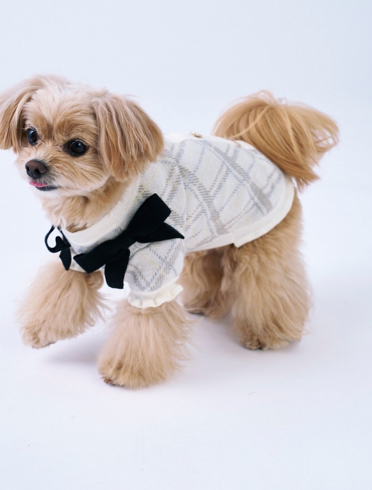 Checked Jacquard Knit Top を使った DOG & CAT の着用イメージ