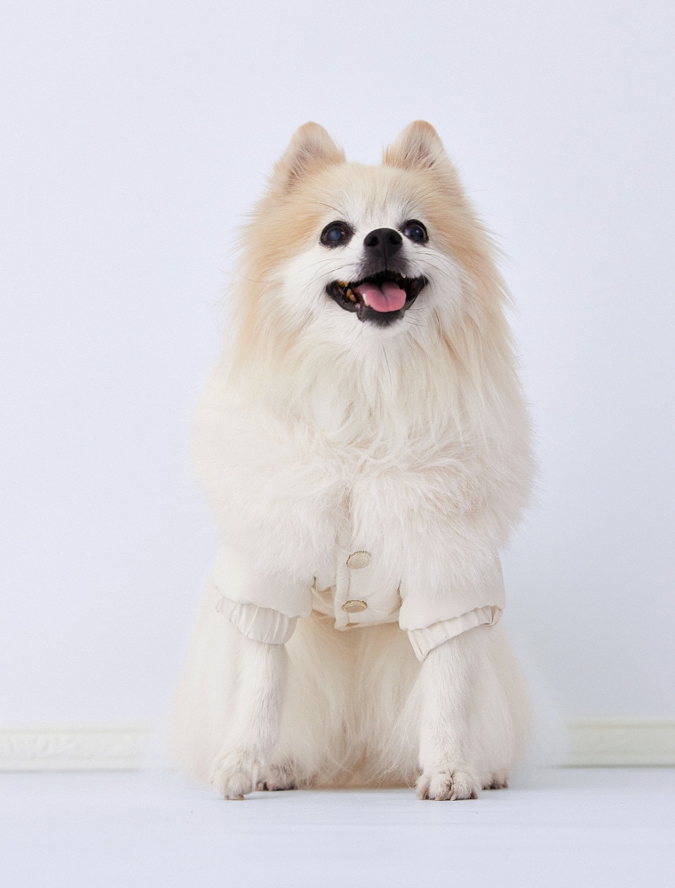 Fur Collar Quilted Jacket を使った DOG & CAT の着用イメージ（別カット）