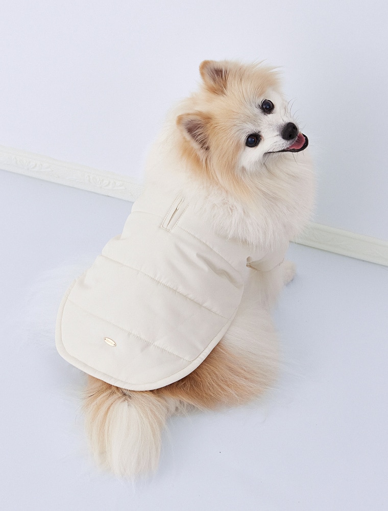 Fur Collar Quilted Jacket を使った DOG & CAT の着用イメージ