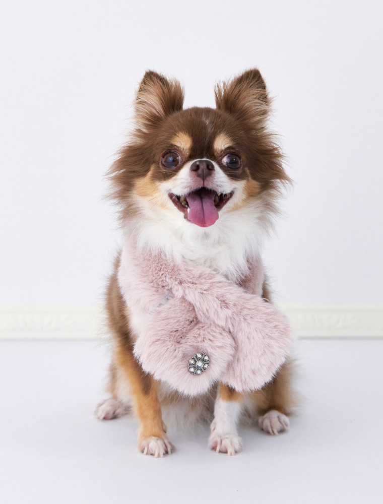 Bijou Fur Tippet を使った DOG & CAT の着用イメージ