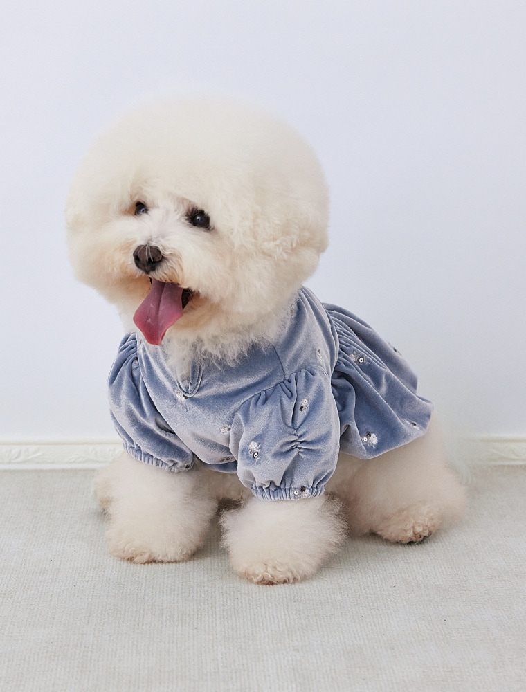 Floral Embroidered Velour Dress を使った DOG & CAT の着用イメージ